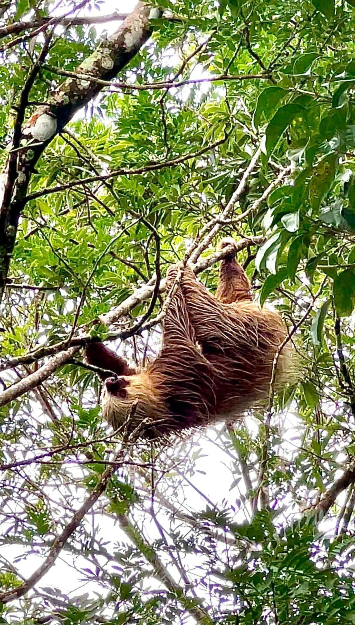 Monteverde Magic Mountain Kültér fotó